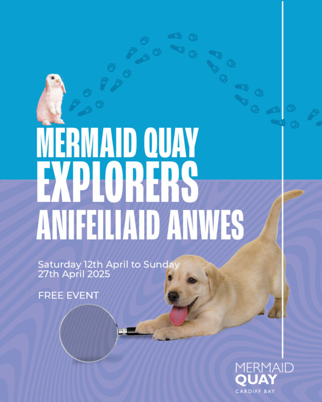 Our pet inspired trail ends soon – so don’t miss out on the adventure! 🐢

Mae ein llwybr wedi’i ysbrydoli gan anifeiliaid anwes yn dod i ben yn fuan – felly peidiwch â cholli’r antur! 🐢

 #cardiffbay #visitcardiff #visitcardiffbay #mermaidquay #cardiff